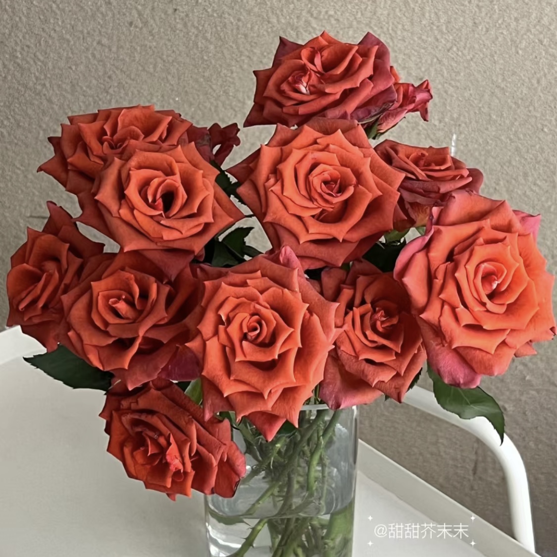 杏仁酒-单头玫瑰（任意两单包邮，一单需要补运费）鲜花