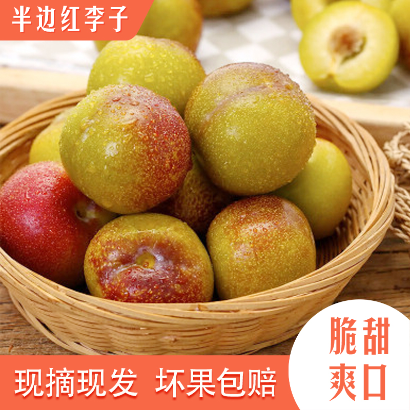 云南绥江半边红李子脆甜可口新鲜采摘坏果包赔4.5斤包邮