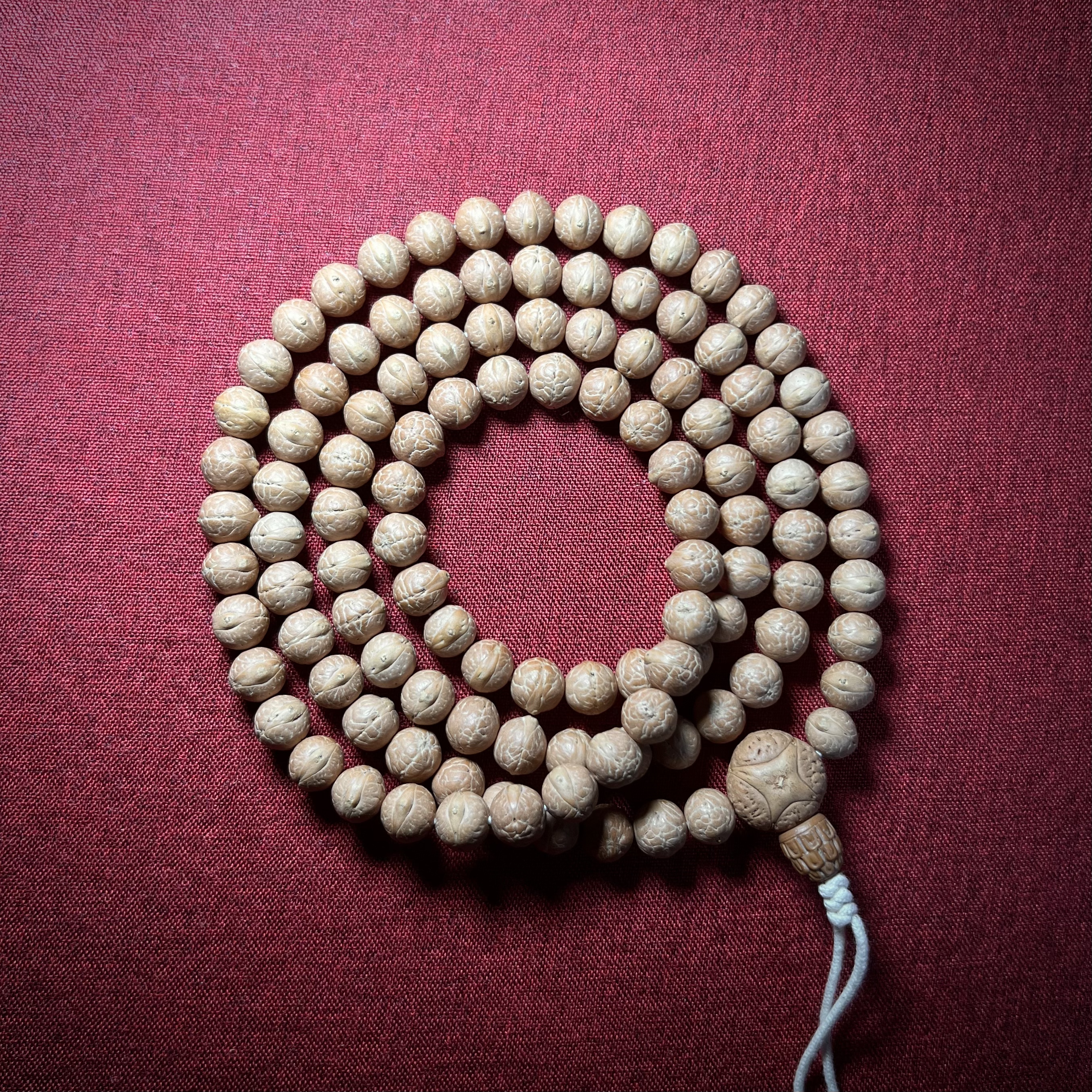 尼泊尔凤眼菩提实心籽，唐承出品