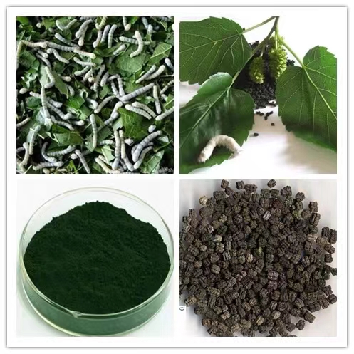 桑蚕砂颈枕头纯桑蚕砂圆形枕头护颈颈椎蚕砂