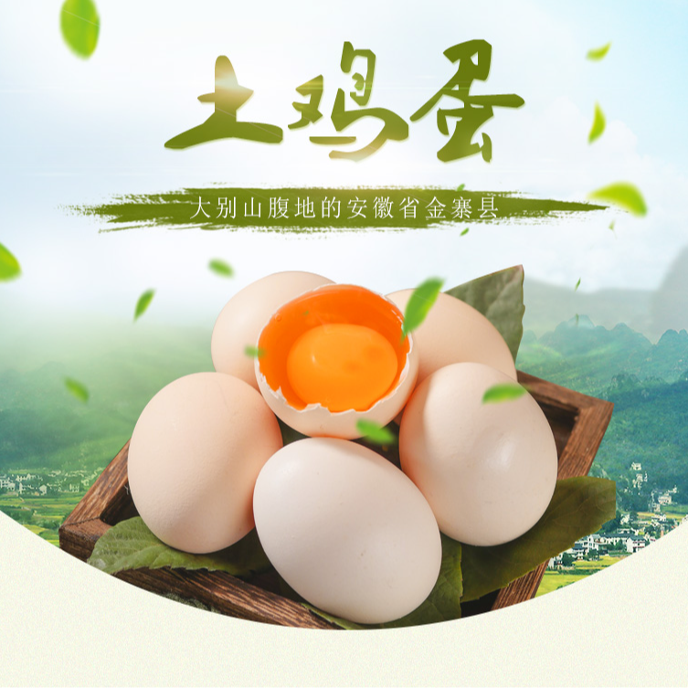 大别山农家散养土30起装老品种青脚麻鸡土正宗乡下土黄心鸡蛋新鲜