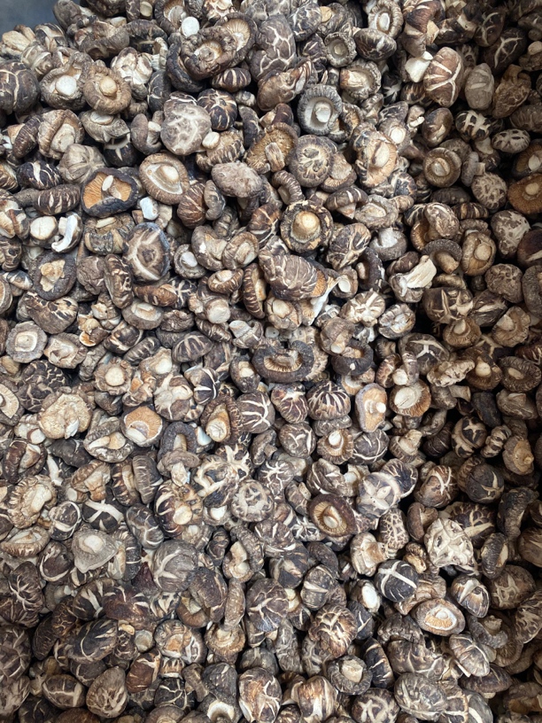 长白山 香菇  干香菇 250克