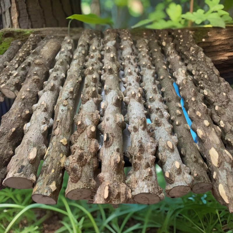 鸟用品花椒木站杆鹦鹉鸟站棍花椒木磨爪棍鸟栖木站棍中型固定