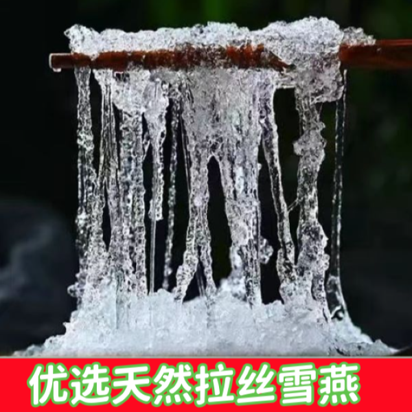 【农家优选高山拉丝雪燕】1500克到手3包