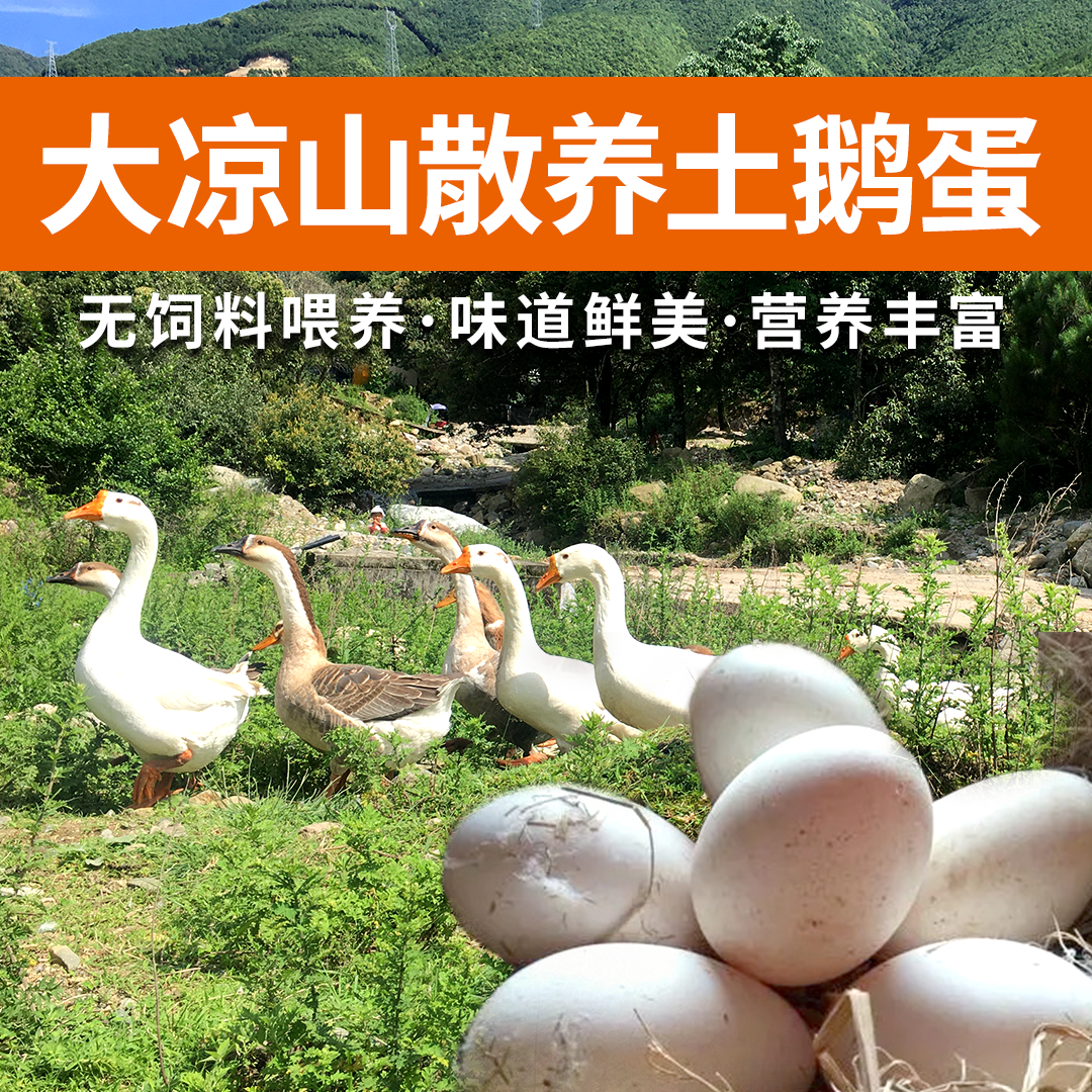 正宗农家散养大鹅蛋孕妇宝妈放心土鹅蛋新鲜超好吃现捡农家土鹅蛋