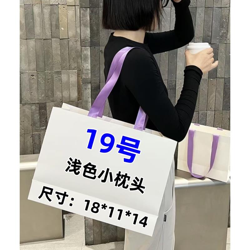 【19号】   冬季新款时尚百搭浅色小枕头包  k19