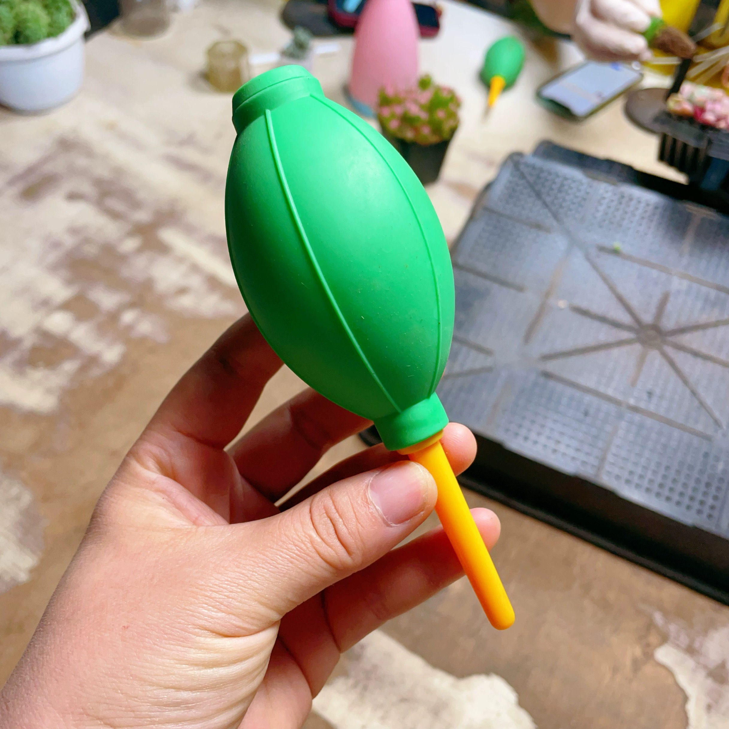 多肉植物清理气吹