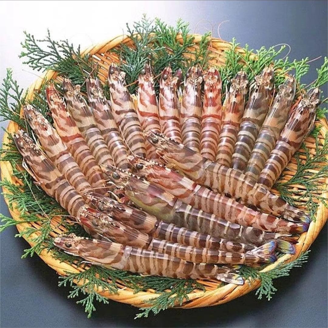 （嫌小勿拍）竹节虾班节虾九节虾活虾速冻 250g/盒 到手3+1盒鲜嫩