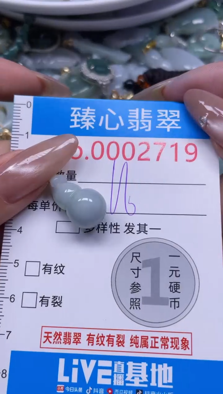 颈饰未镶嵌翡翠2719