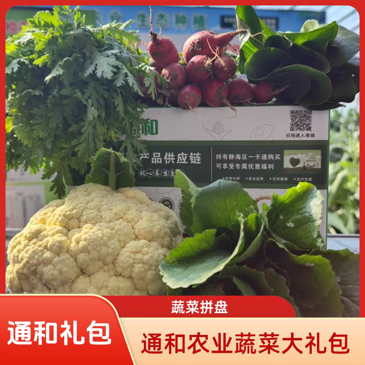 通和农业府君庙蔬菜拼盘大礼包