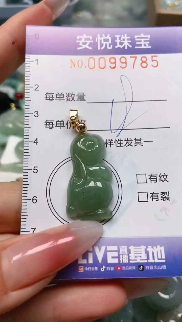 【闪购商品】翡翠颈饰未镶嵌闪购0099785