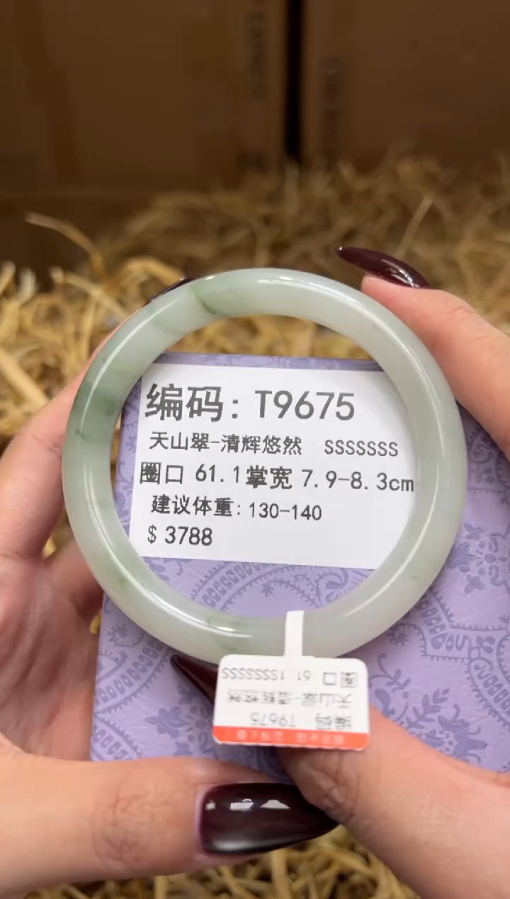 未镶嵌手镯石英质玉T9675