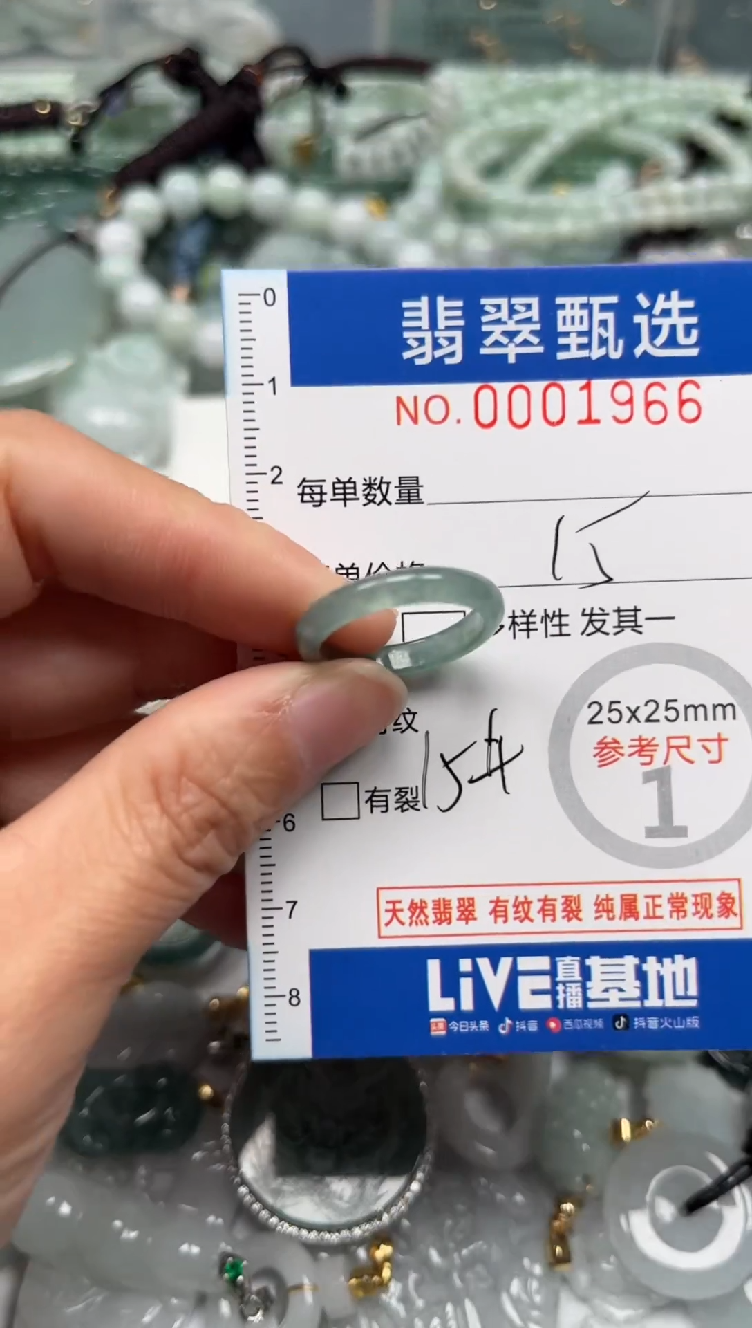【闪购商品】翡翠颈饰未镶嵌00..1966
