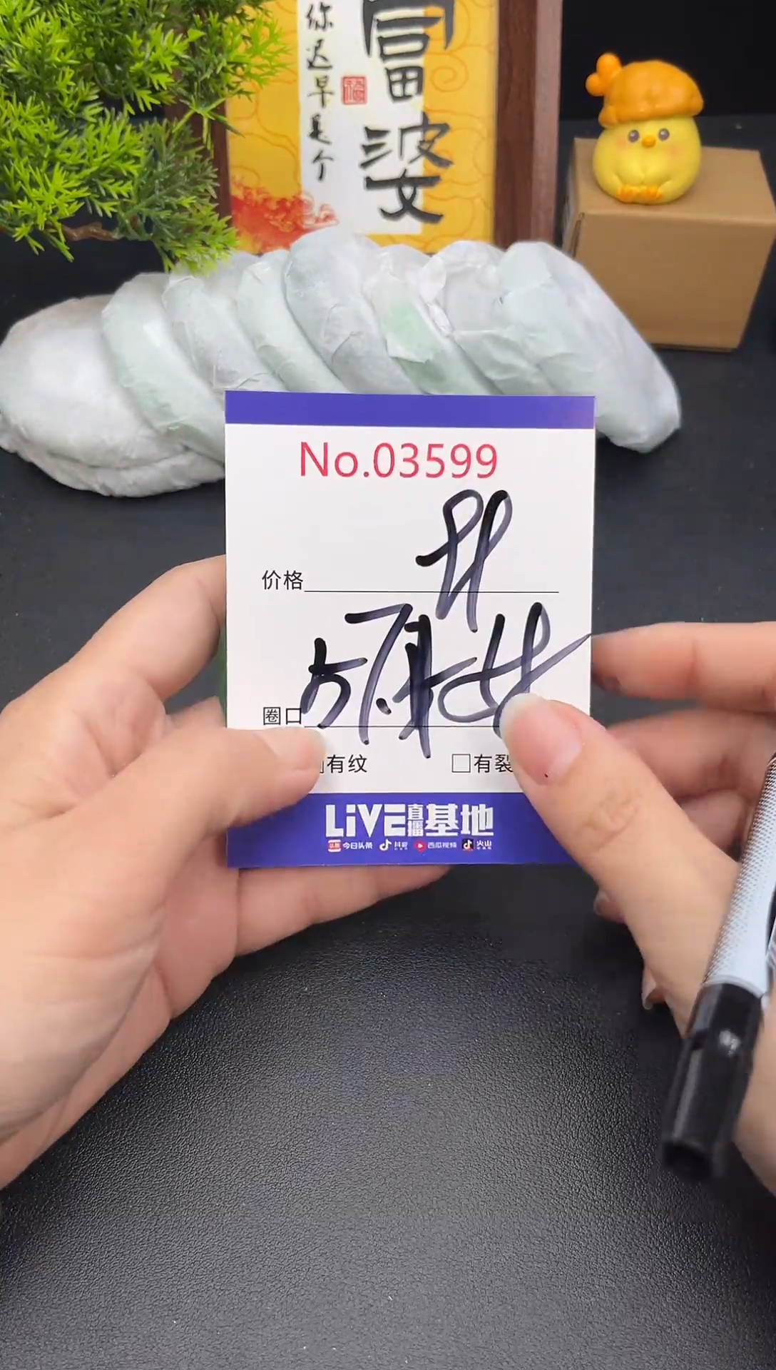 未镶嵌手镯翡翠3599