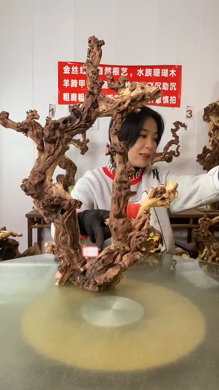 香榧木用****6金丝红木 羊蹄甲