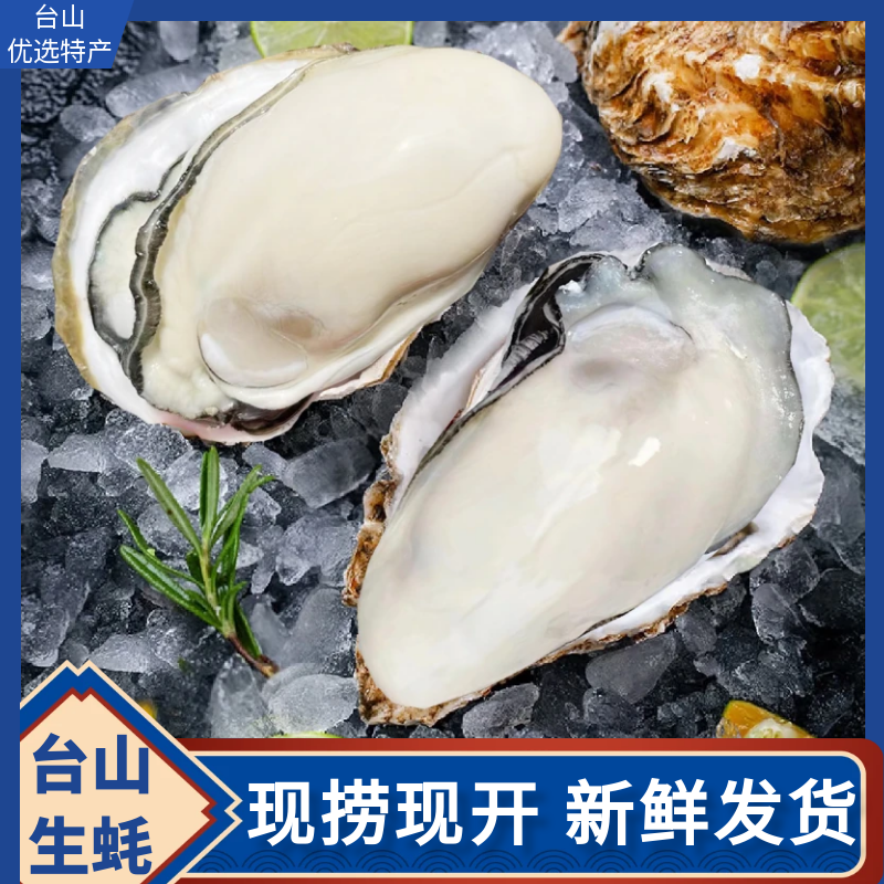 台山小蚝  新鲜现剥  川岛生蚝  鲜甜脆口无渣不缩水1罐1斤