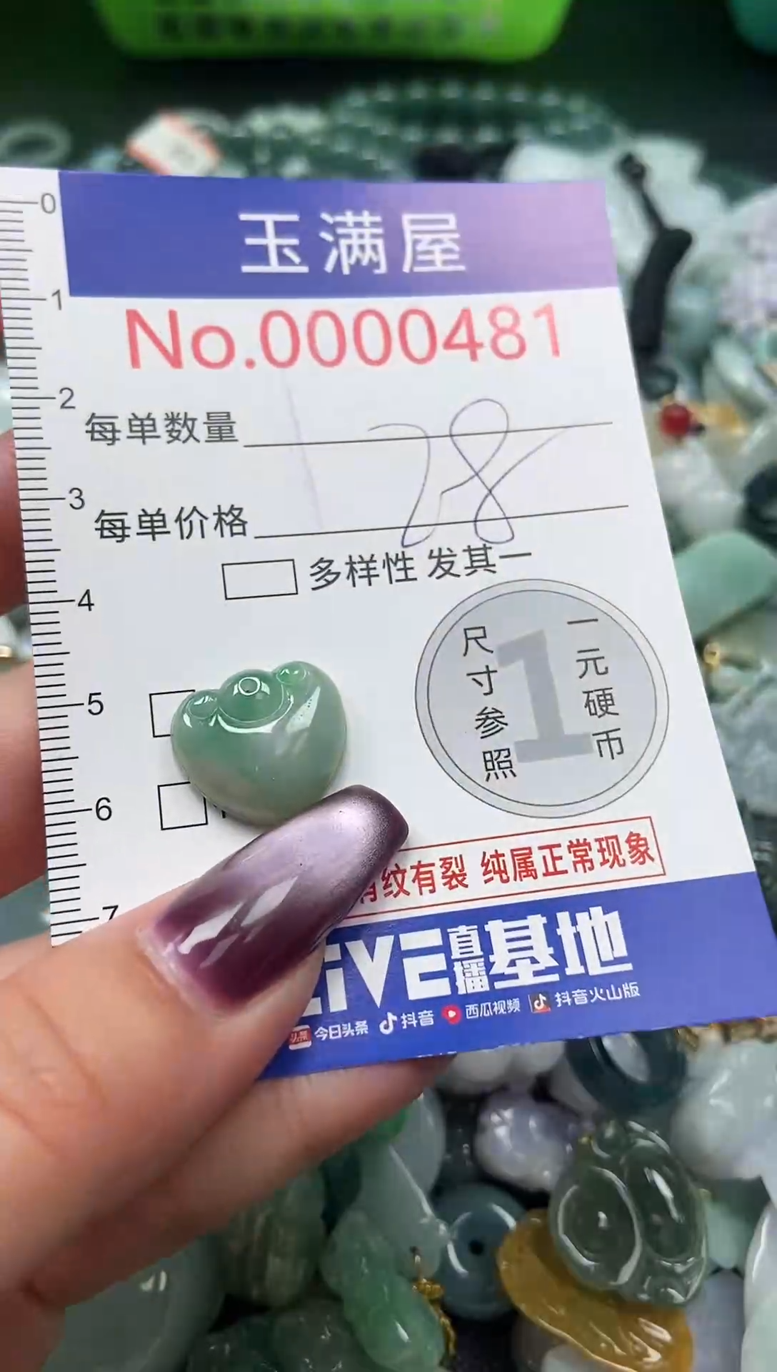 颈饰未镶嵌翡翠481