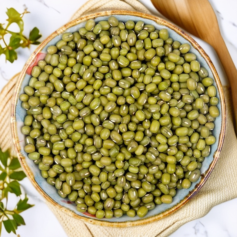 农家自种新鲜绿豆颗粒饱满煲汤煮粥易煮烂消暑必备