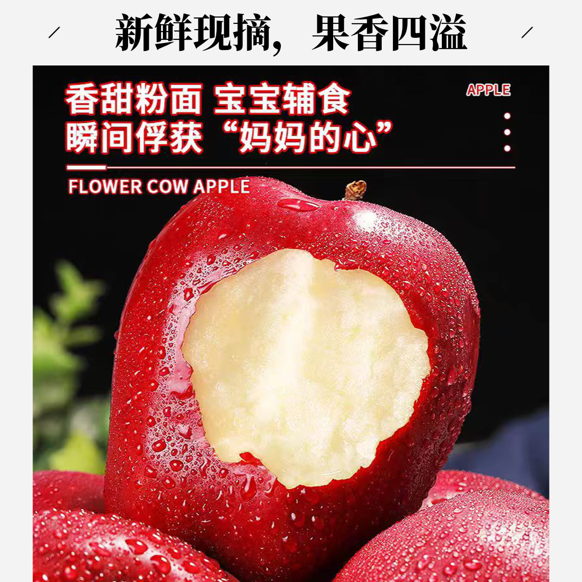 【大西北高姐】甘肃天水花牛苹果新鲜脆甜粉面两吃当季水果批发包邮