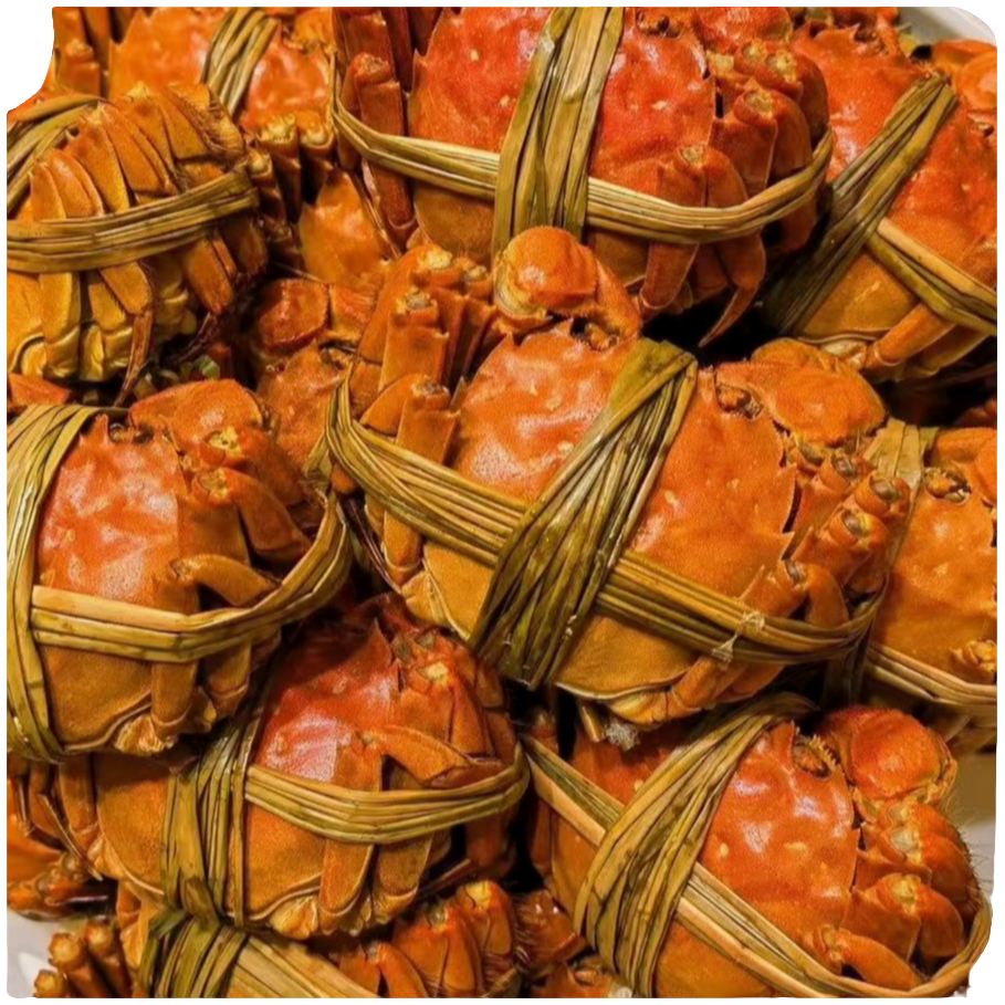 【鲜活2.5两母蟹2只-8只+蟹醋+紫苏叶】江苏大闸蟹送货上门