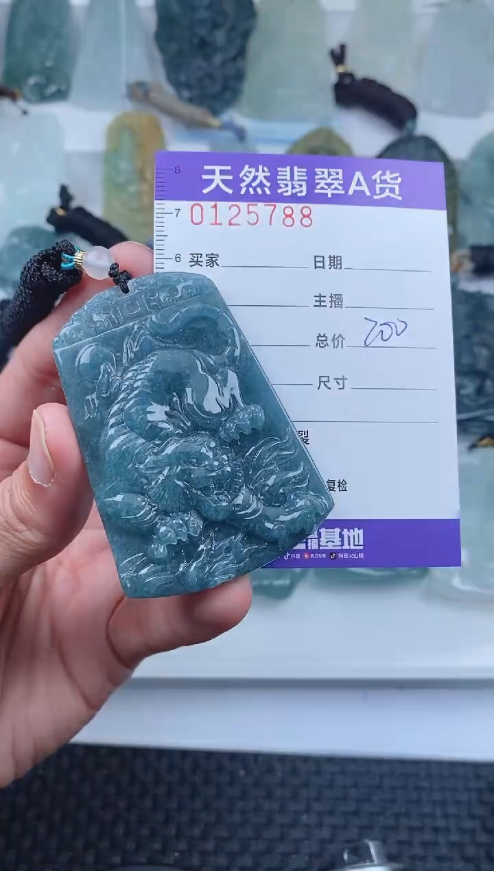 【闪购商品】翡翠颈饰未镶嵌        788