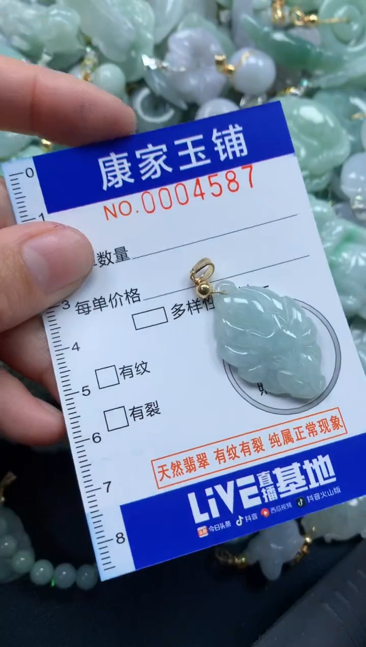 颈饰未镶嵌翡翠4587