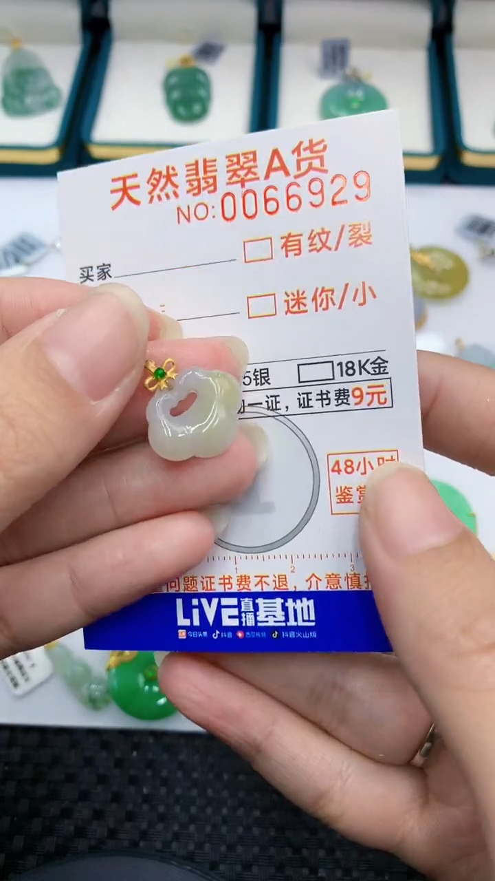 【闪购商品】翡翠颈饰18K金镶嵌            8