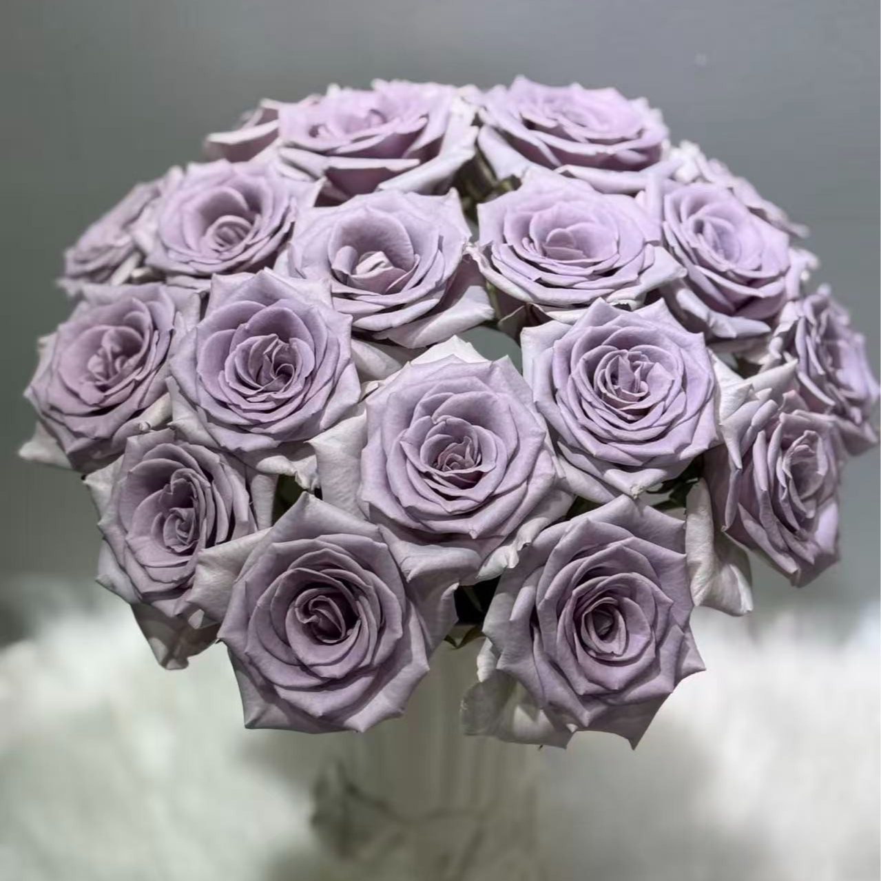 【云南鲜花】【惊艳蓝】单头玫瑰  云南鲜花基地直发