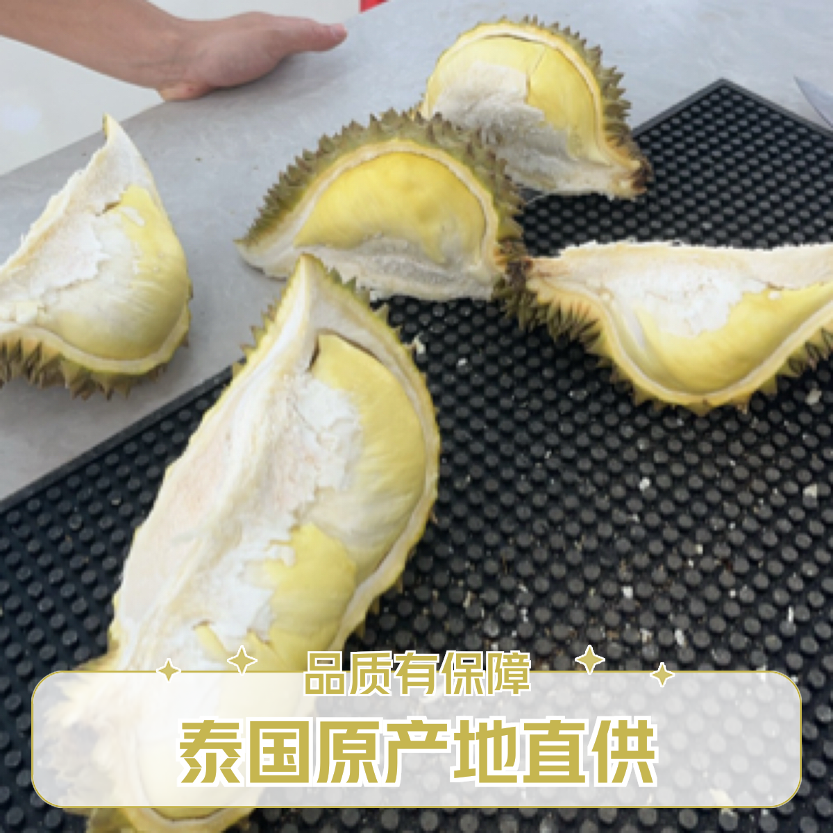 50/斤 鲜果肉现开现卖 越南金枕鲜榴莲核小肉多皮薄（微湿包、建议勿拍）金枕越南