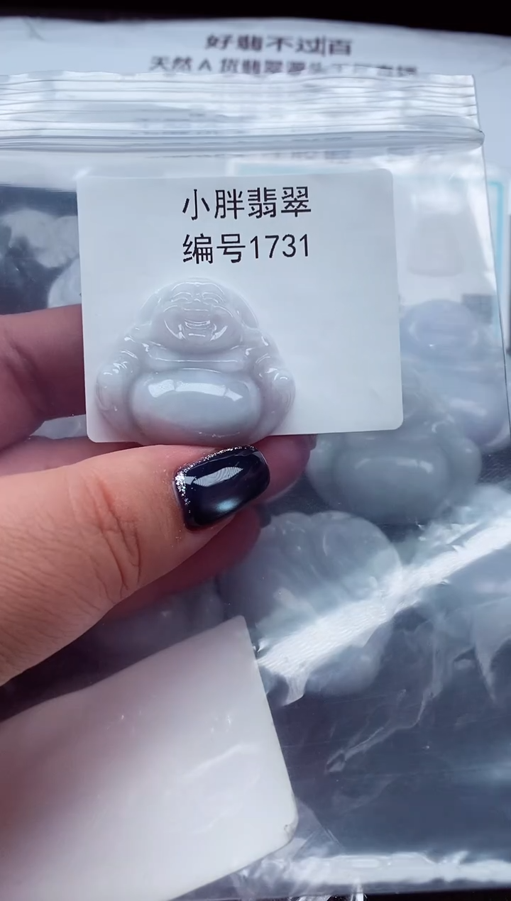 颈饰未镶嵌翡翠ℳ****?缅甸天然A货翡翠1731