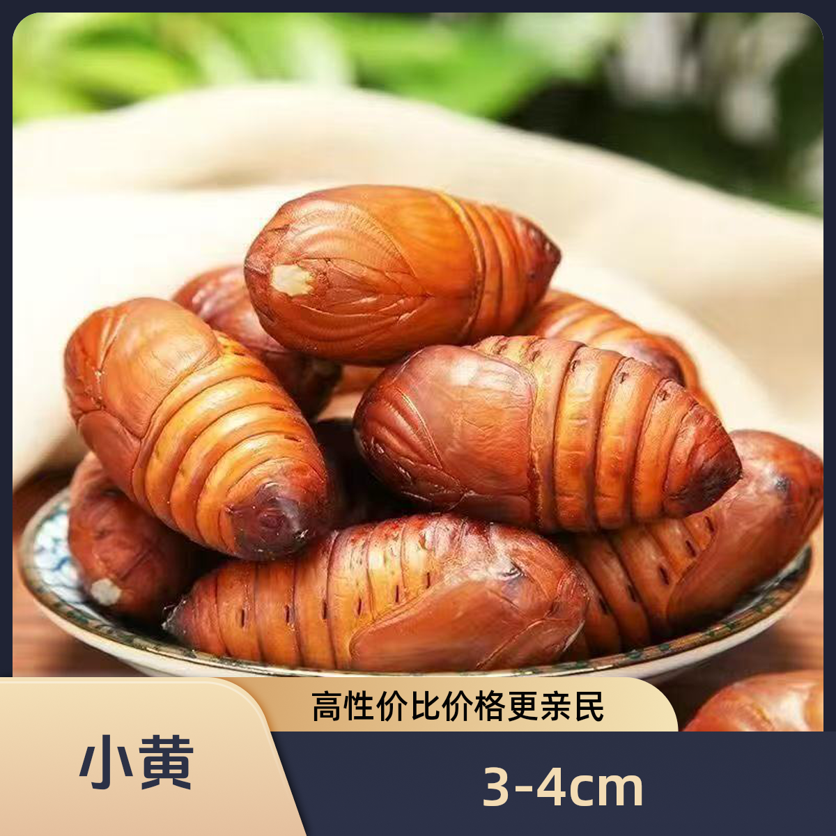 包邮2025新鲜小黄蚕蛹，高蛋白绿色食材