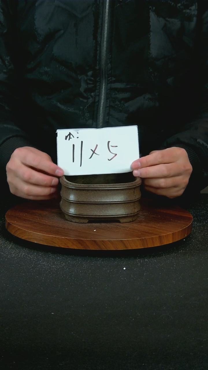 【闪购商品】紫砂T6