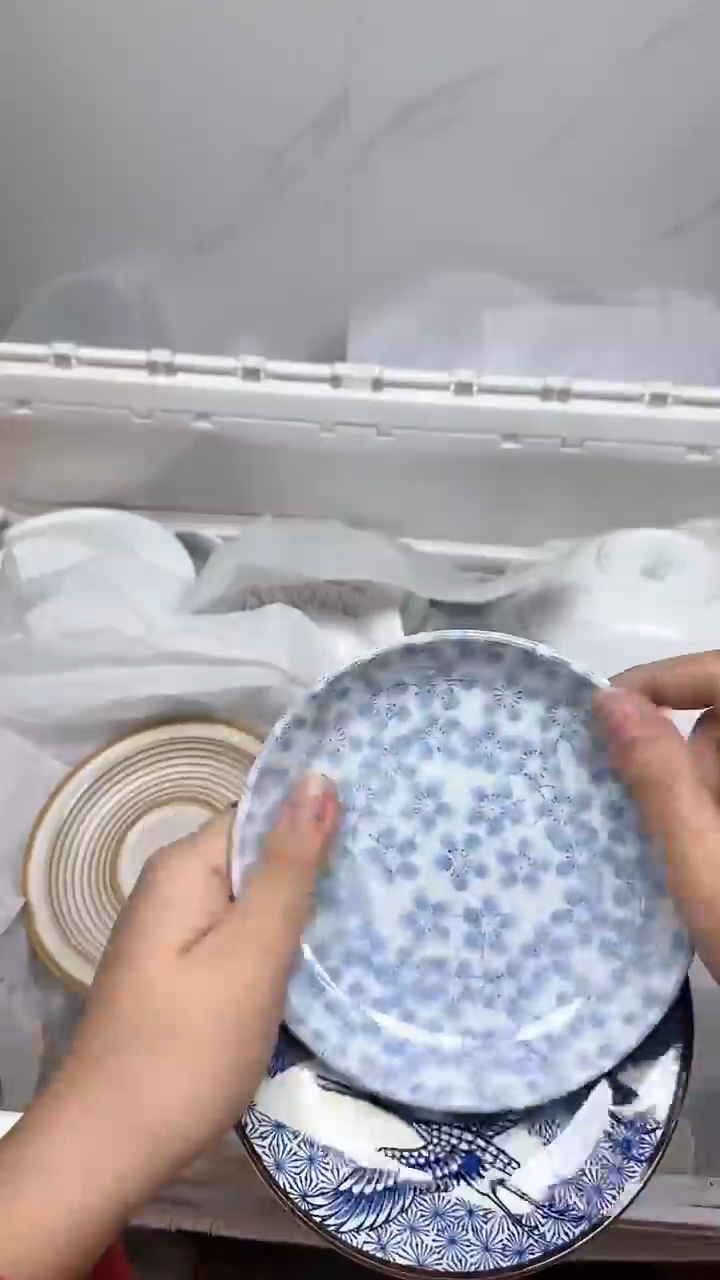 【闪购商品】2769回流瓷器默认微瑕，18.8包邮