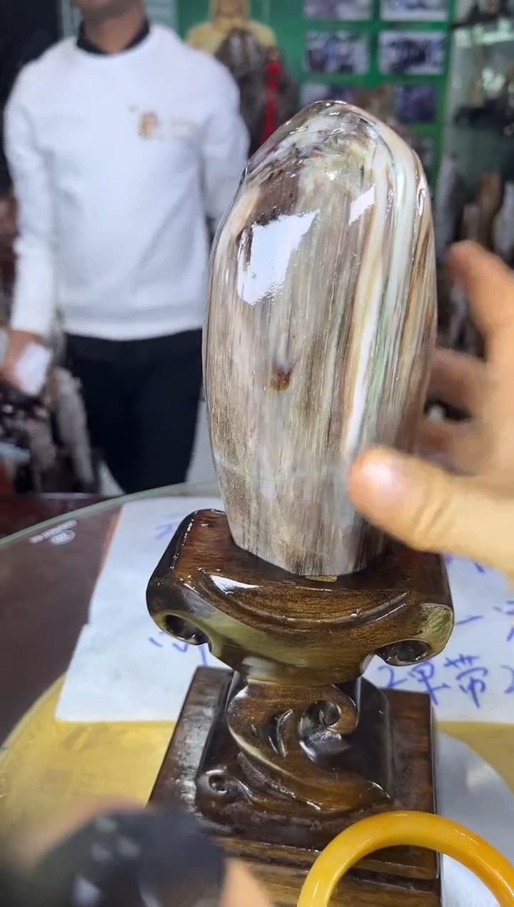 未镶嵌珠宝奇石硅化玉再***酱缅甸天然树化玉精品居家摆件