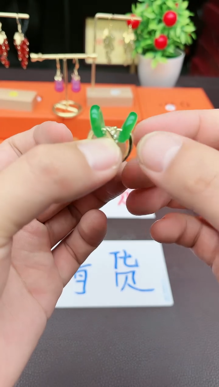 玛瑙/玉髓耳饰银S925镶嵌217000