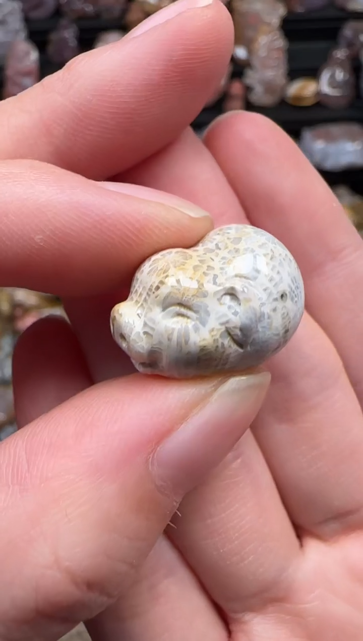 颈饰未镶嵌硅化珊瑚（珊瑚玉）066