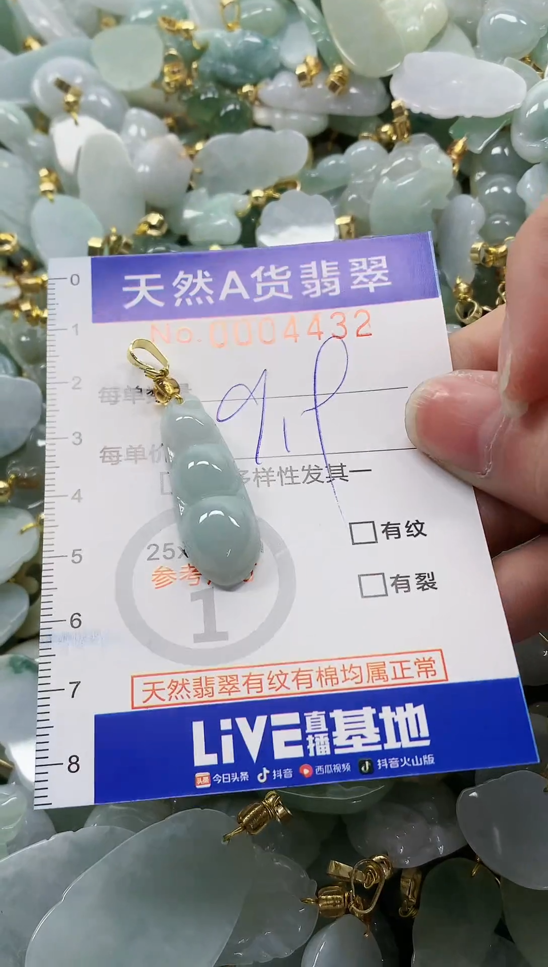颈饰未镶嵌翡翠纯天然a货翡翠