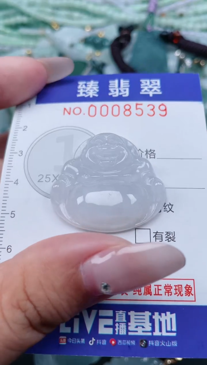 翡翠未镶嵌颈饰.0008539