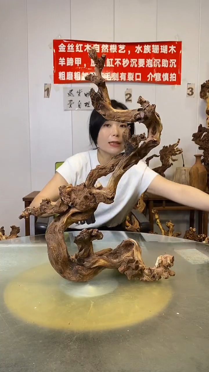 香榧木用****5金丝红木 羊蹄甲