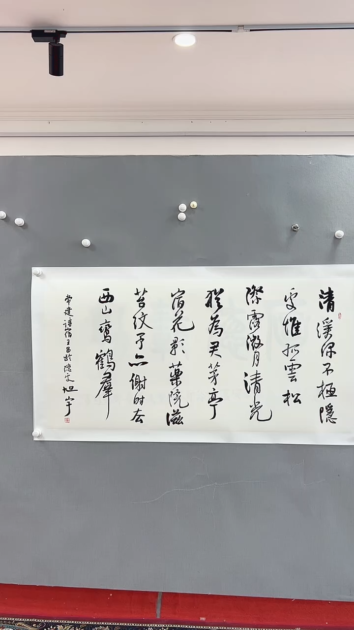 【闪购商品】书法雅艺典藏文化书法