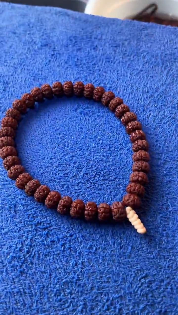 手串金刚菩提7*10+老树王