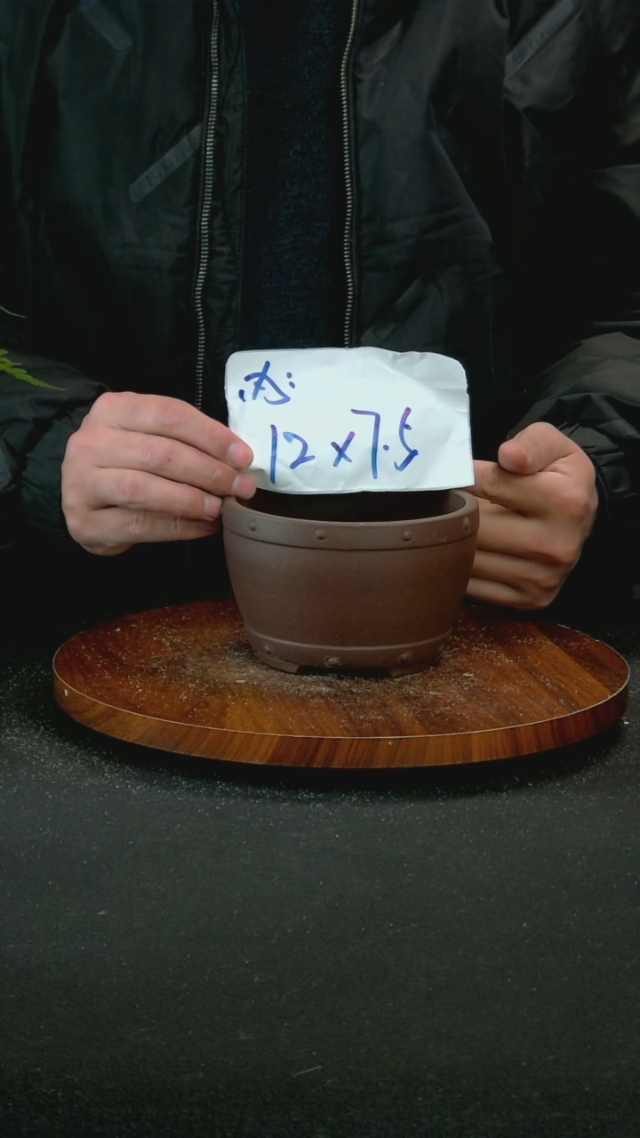 【闪购商品】紫砂G118