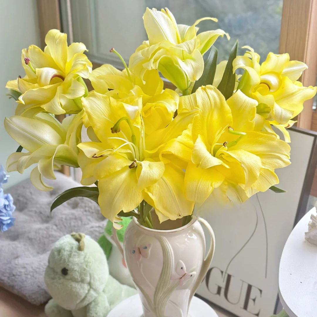 【源头优选】异国阳光香水百合花水养插花用云南直发鲜花
