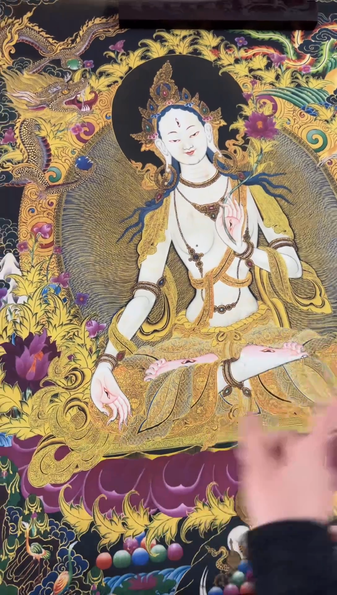 净界藏传净界藏传34