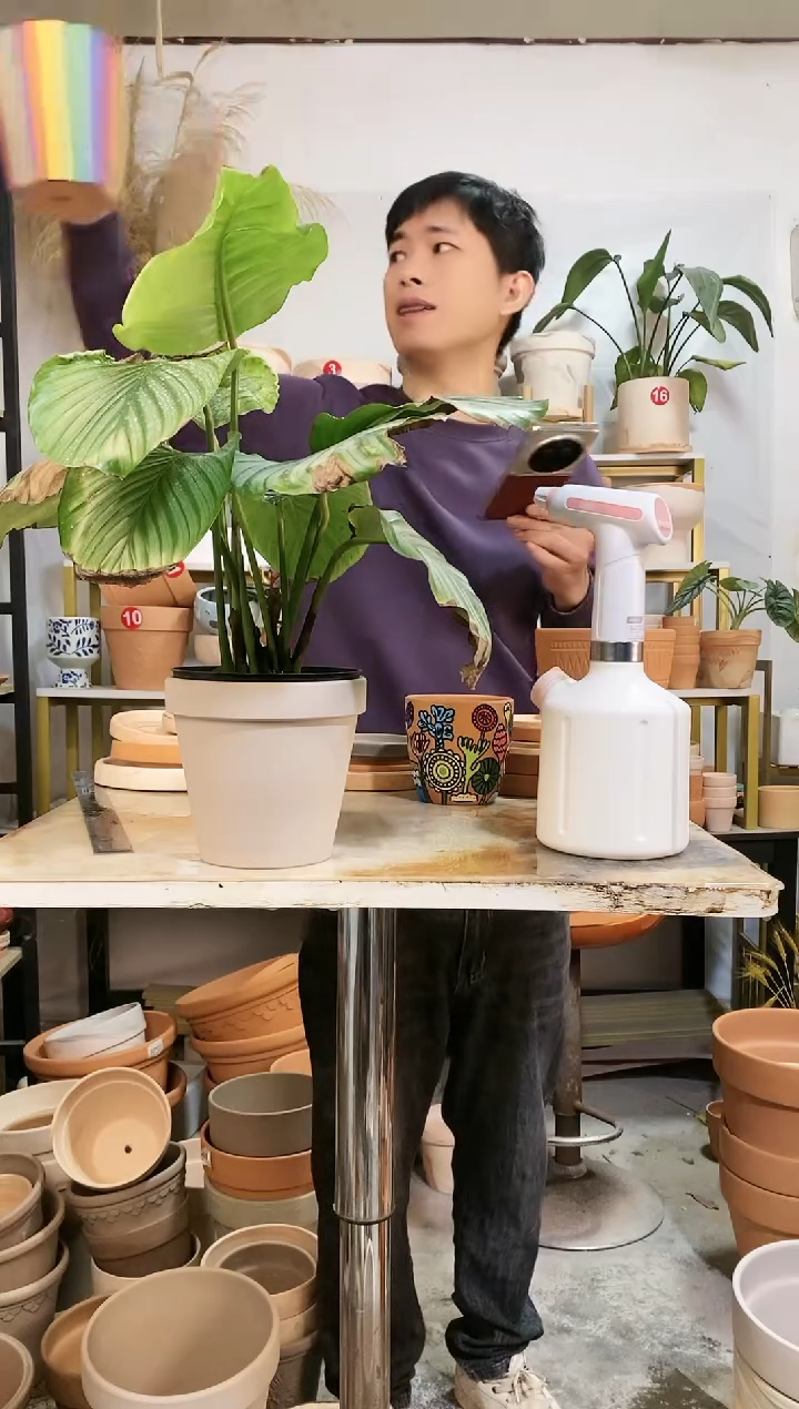 【闪购商品】红陶15*14灰陶 1盆无托