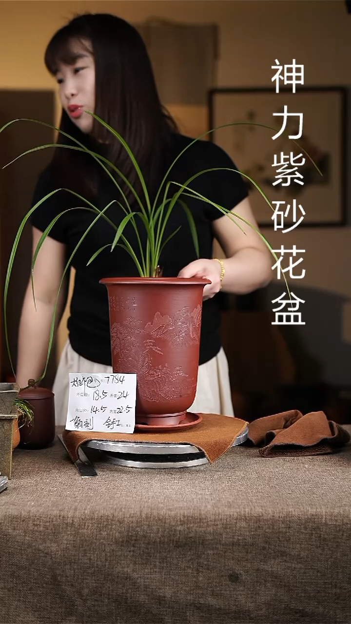紫砂花盆紫砂花盆7784+z