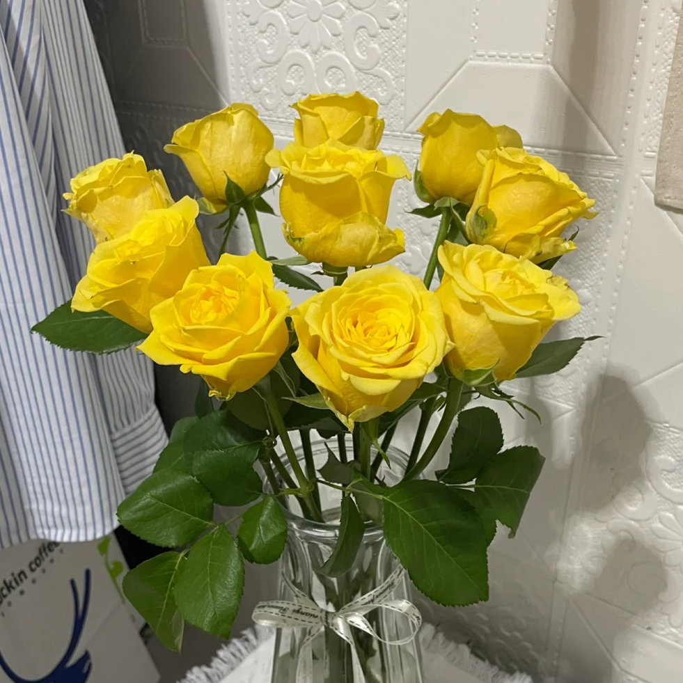 【金枝玉叶玫瑰10支】云南新鲜鲜花直发好养任意2件发包邮送货上门