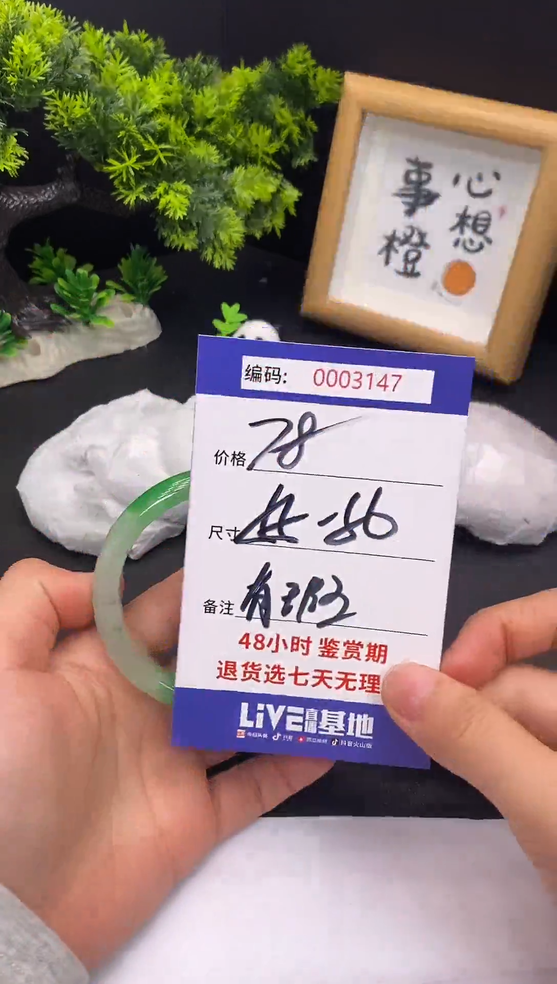 未镶嵌手镯翡翠0003147