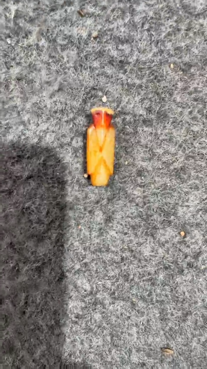 未镶嵌和田玉挂件和田玉挂件