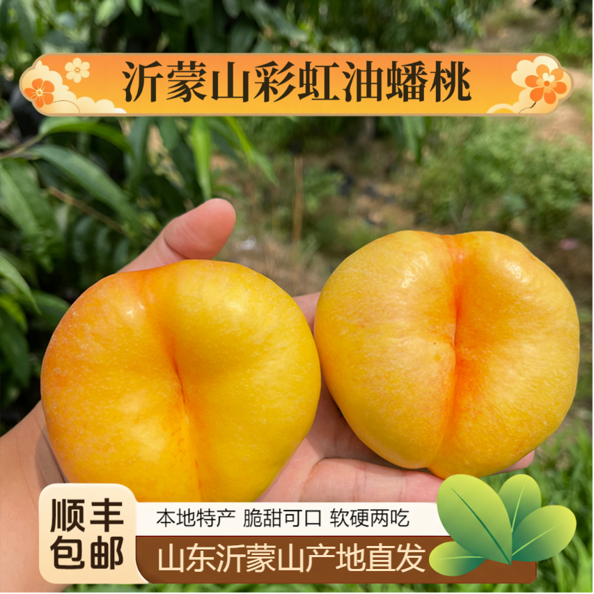 【顺丰包邮】沂蒙山彩虹蟠桃 应季时令水果 软硬两吃脆甜可口